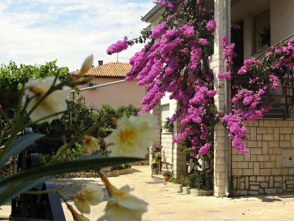 Apartments Villa Rosa Rovinj Exterior foto